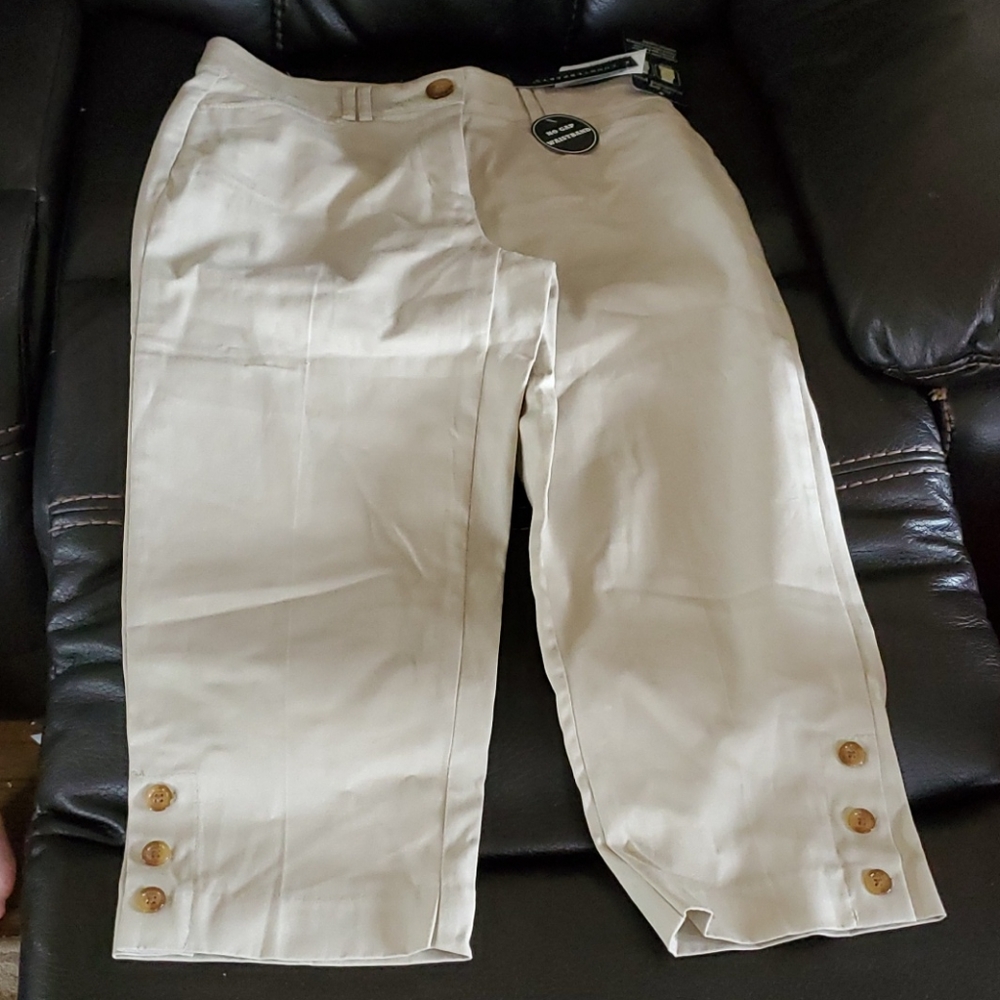 Counterparts 6P NWT  Khaki Pants No Gap Waisrband